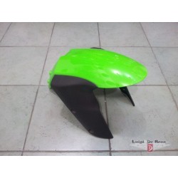 Parafango anteriore Kawasaki Ninja 636 ZX6-R Verde