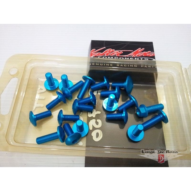 Kit Viti CARENE blu Kawasaki Z750 Ergal / Titanio